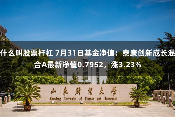 什么叫股票杆杠 7月31日基金净值：泰康创新成长混合A最新净值0.7952，涨3.23%