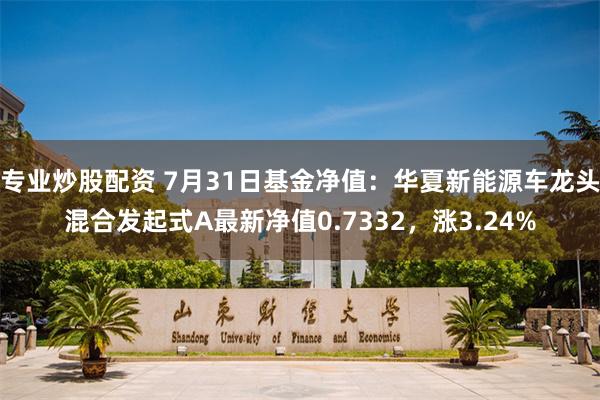 专业炒股配资 7月31日基金净值：华夏新能源车龙头混合发起式A最新净值0.7332，涨3.24%