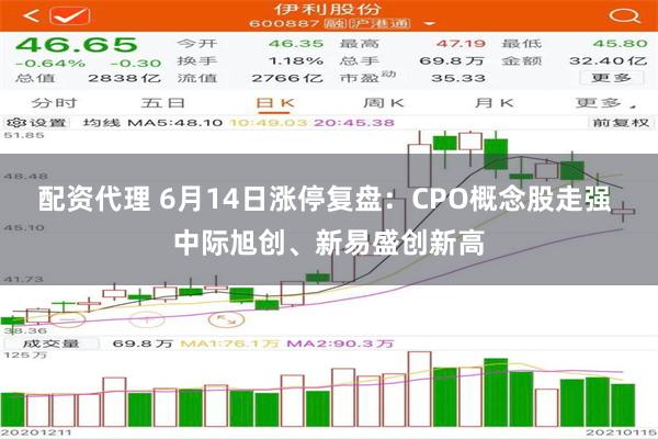 配资代理 6月14日涨停复盘：CPO概念股走强 中际旭创、新易盛创新高