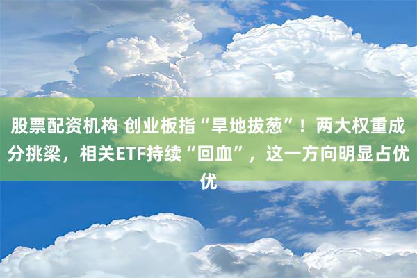 股票配资机构 创业板指“旱地拔葱”！两大权重成分挑梁，相关ETF持续“回血”，这一方向明显占优