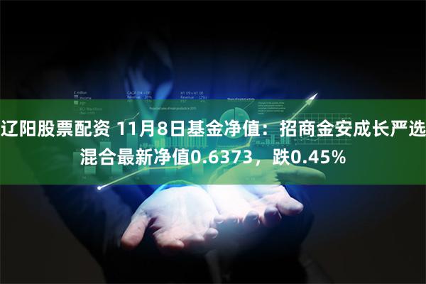 辽阳股票配资 11月8日基金净值：招商金安成长严选混合最新净值0.6373，跌0.45%