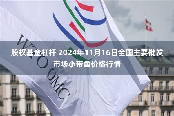 股权基金杠杆 2024年11月16日全国主要批发市场小带鱼价格行情