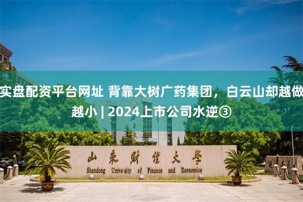 实盘配资平台网址 背靠大树广药集团，白云山却越做越小 | 2024上市公司水逆③