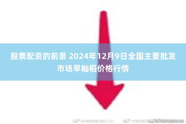 股票配资的前景 2024年12月9日全国主要批发市场早籼稻价格行情