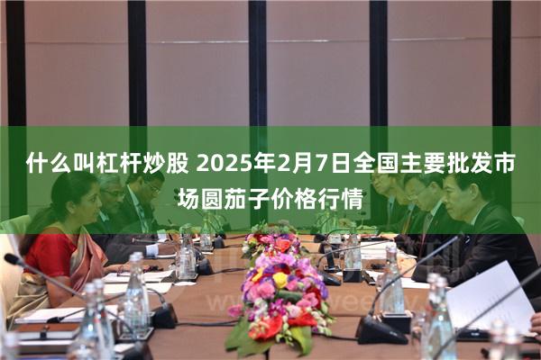 什么叫杠杆炒股 2025年2月7日全国主要批发市场圆茄子价格行情